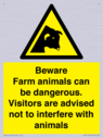 beware-farm-animals-can-be-dangerous-visitors-are-advised-not-to-interfere-with-~